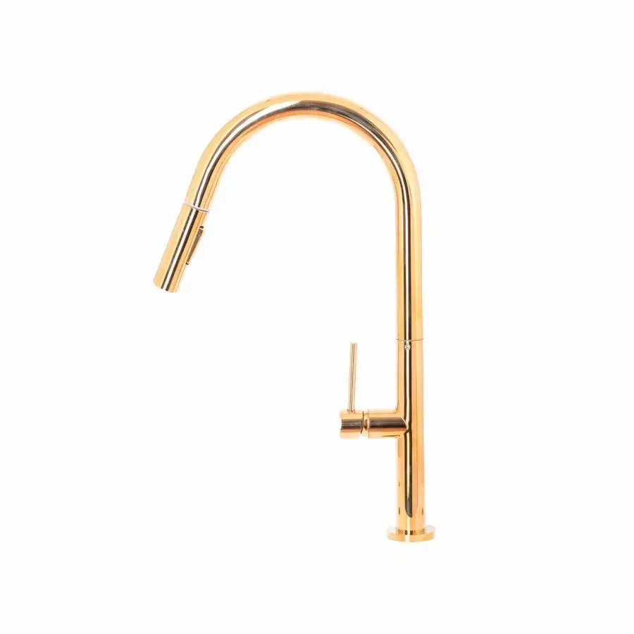 Baterie Bucatarie cu Dus Extractibil, Alama Sanitara, Auriu, CF2043 - imagine 2